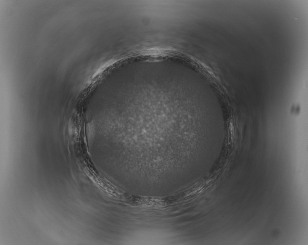 X0000112011158200908171436