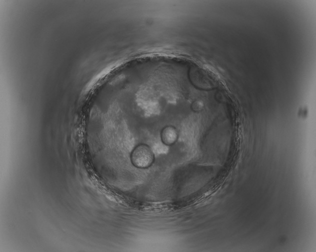 X0000112011159200908171436