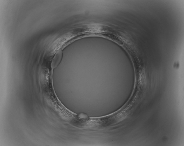 X0000112011161200908171436