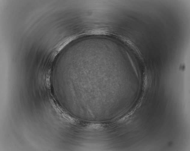 X0000112011162200908171436