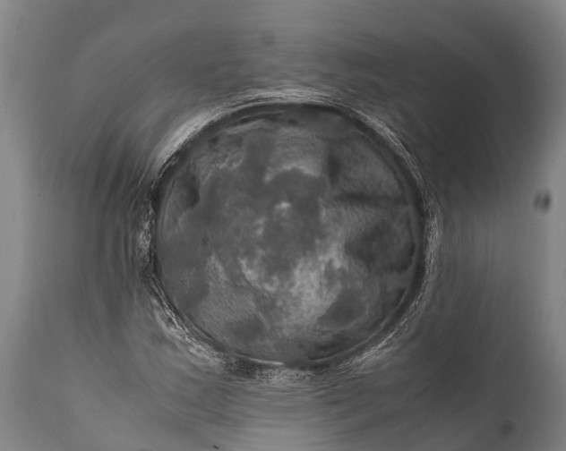 X0000112011163200908171436