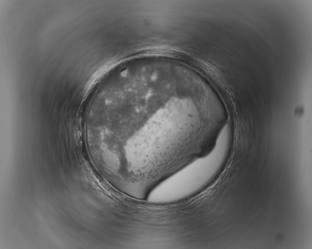 X0000112011164200908171436