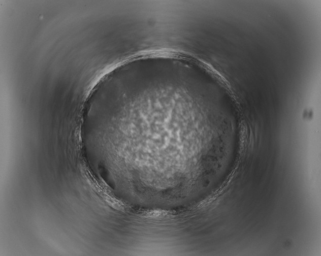 X0000112011166200908171436