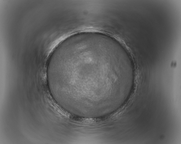 X0000112011167200908171436