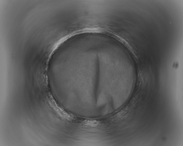 X0000112011168200908171436