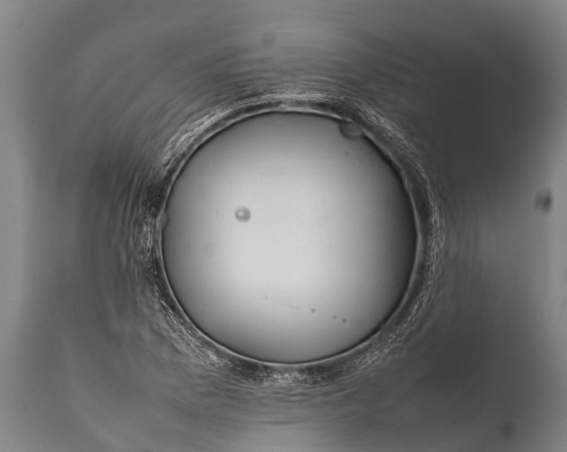 X0000112011169200908171436