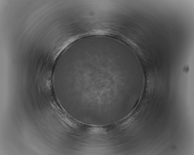 X0000112011170200908171436