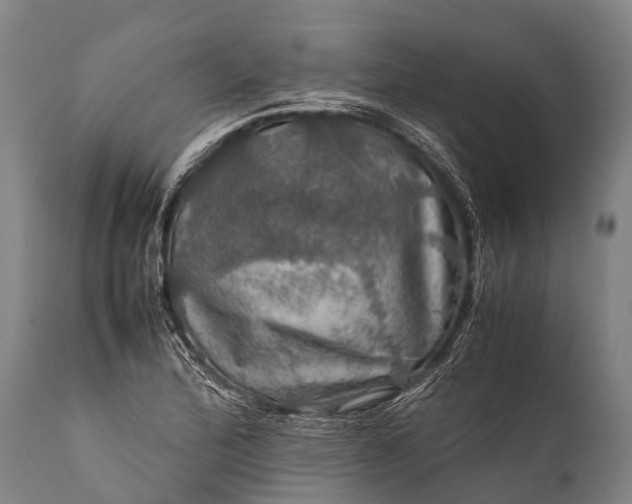 X0000112011172200908171436