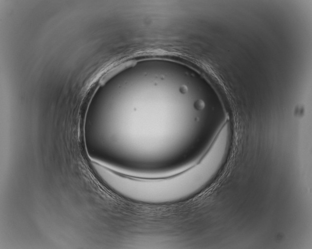 X0000112011173200908171436