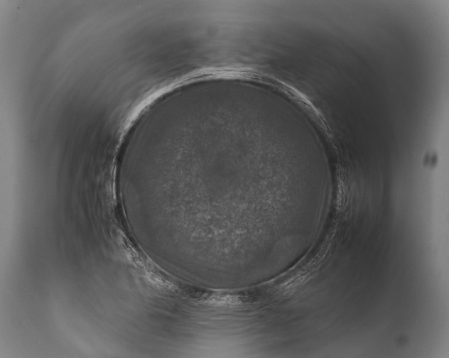 X0000112011174200908171436