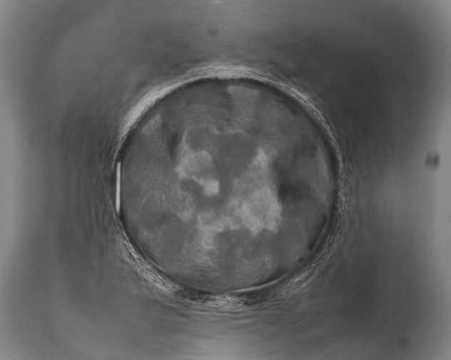 X0000112011175200908171436