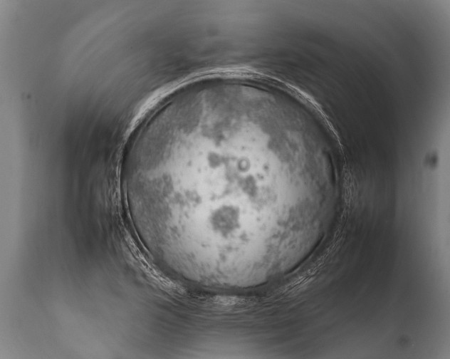 X0000112011176200908171436