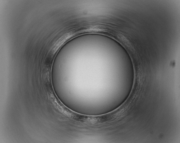 X0000112011177200908171436