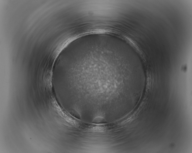 X0000112011178200908171436