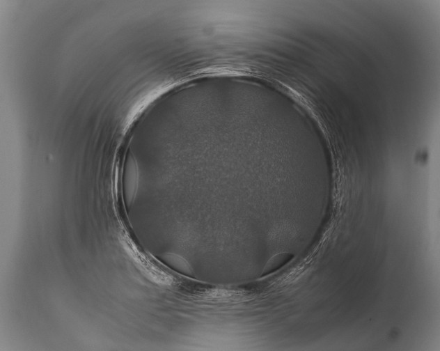 X0000112011179200908171436