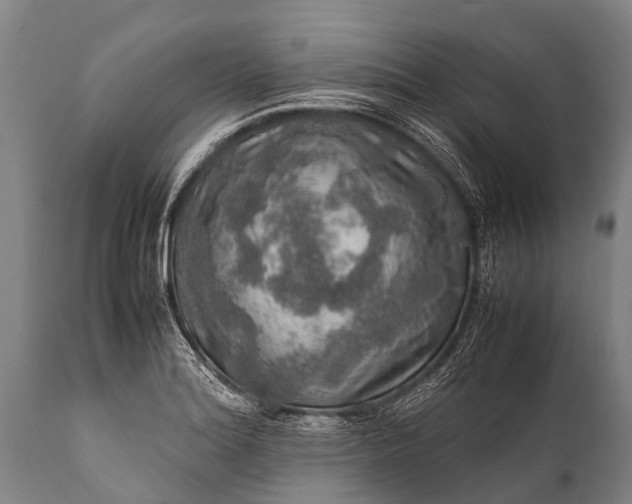 X0000112011180200908171436