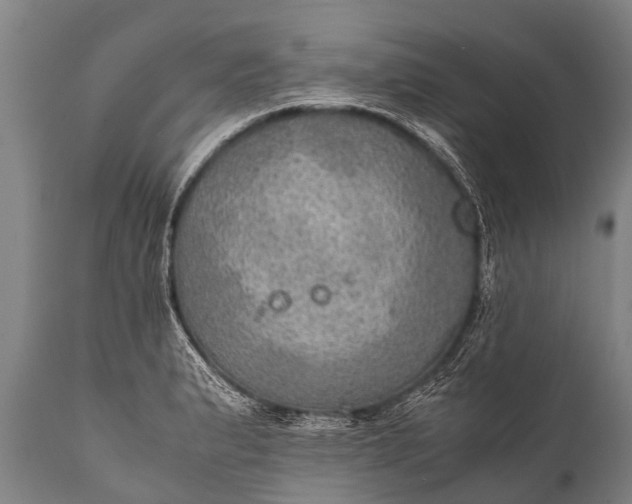 X0000112011183200908171436