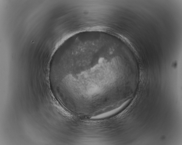 X0000112011184200908171436