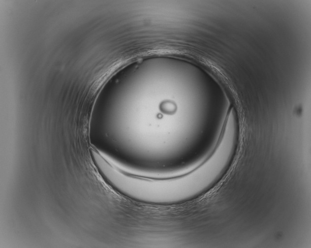 X0000112011185200908171436