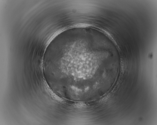 X0000112011186200908171436