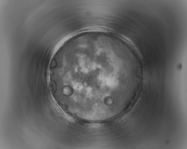 X0000112011188200908171435