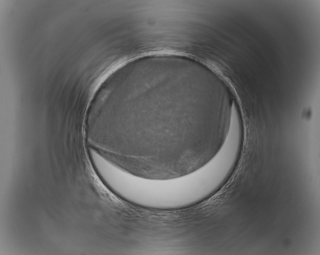 X0000112011189200908171435