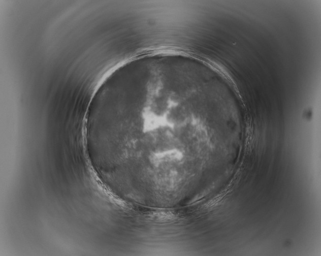 X0000112011190200908171435