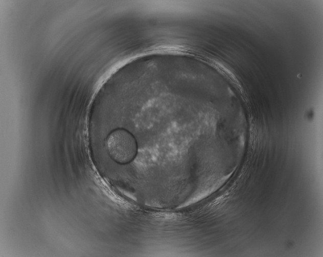 X0000112011192200908171435