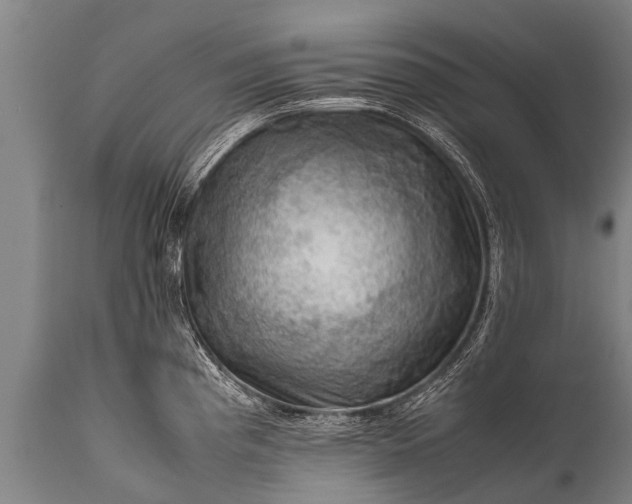 X0000112011193200908171435