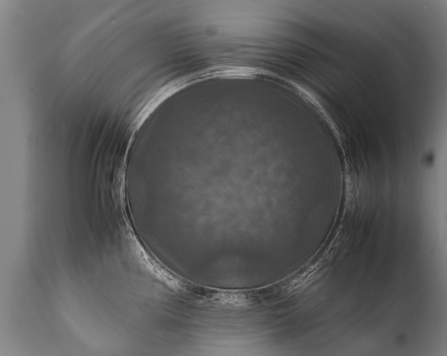 X0000112011194200908171435