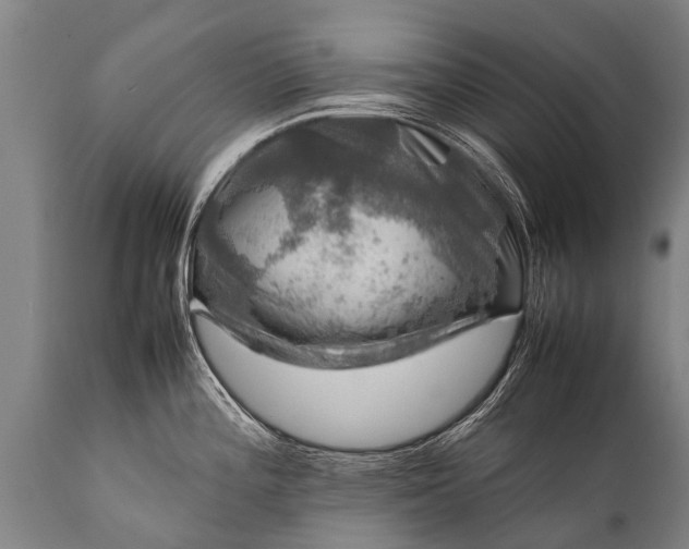 X0000112011196200908171435