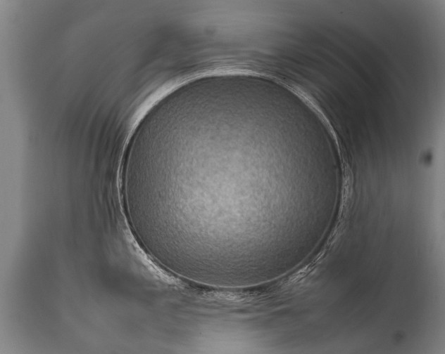 X0000112011197200908171435