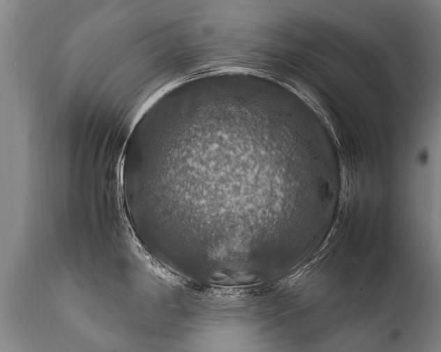 X0000112011198200908171435