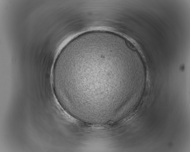 X0000112011199200908171435