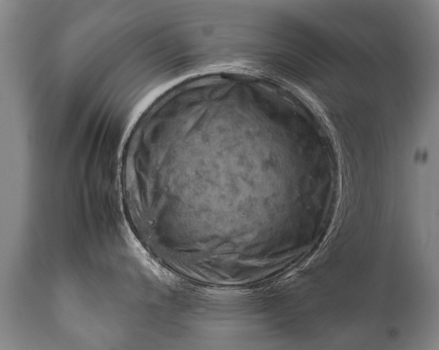 X0000112011200200908171435