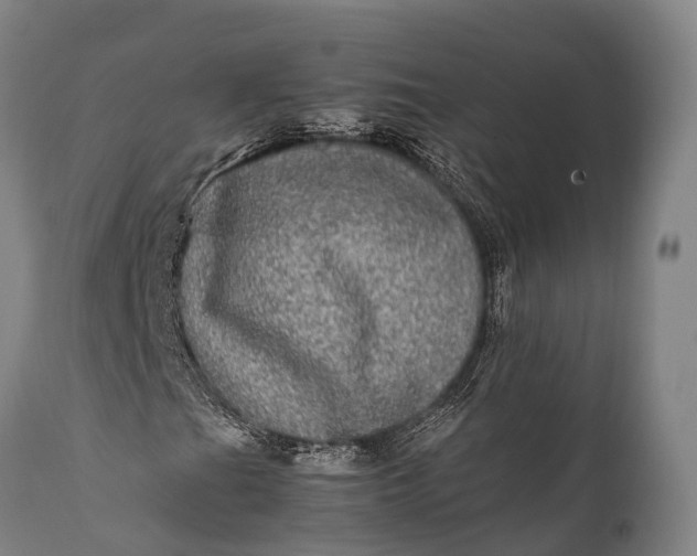 X0000112011201200908171434