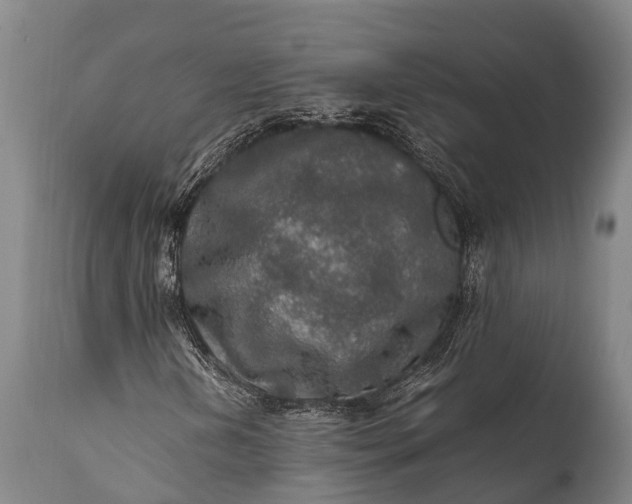 X0000112011202200908171434