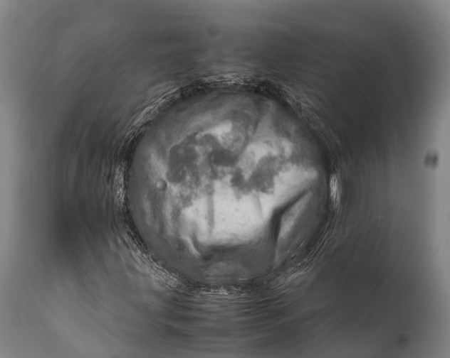 X0000112011203200908171434