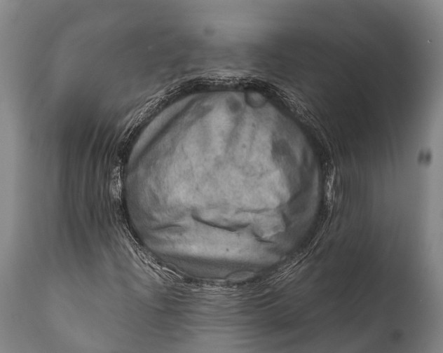 X0000112011204200908171434