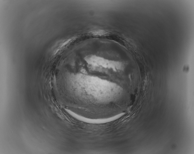 X0000112011205200908171434