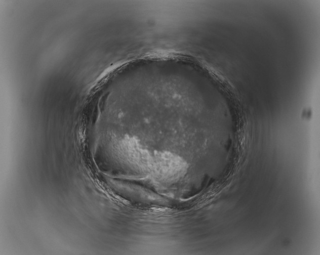 X0000112011206200908171434