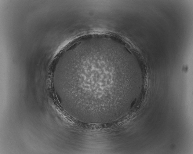 X0000112011208200908171435