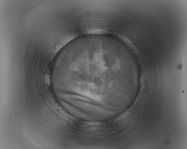 X0000112011209200908171435