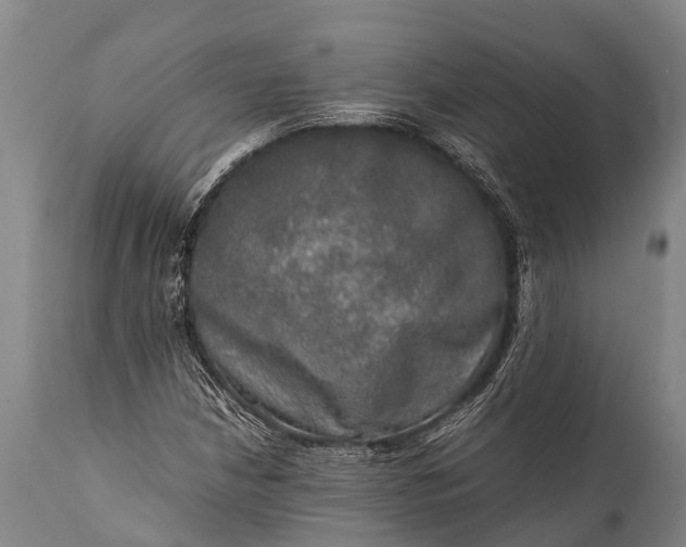 X0000112011210200908171435