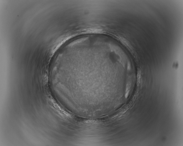 X0000112011212200908171435