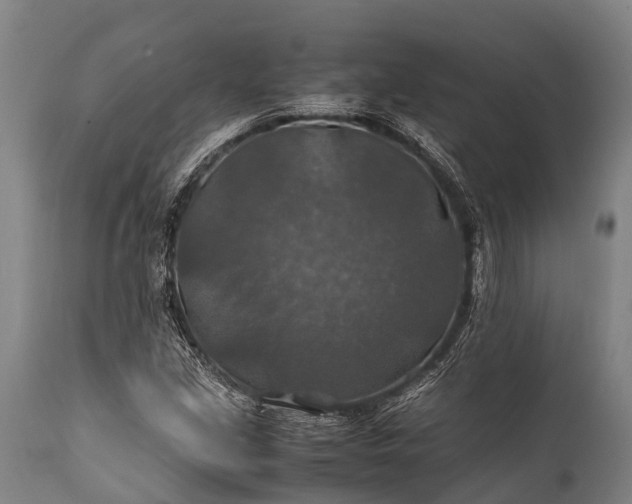 X0000112011213200908171435