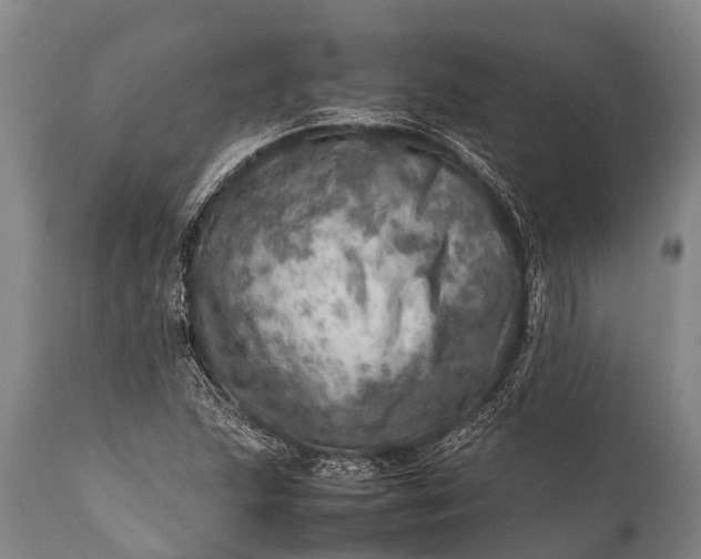 X0000112011215200908171435