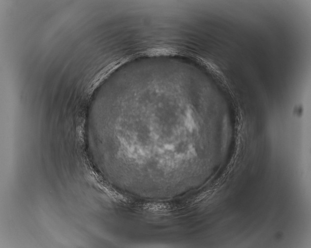 X0000112011217200908171435