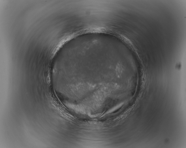 X0000112011218200908171435