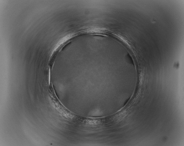 X0000112011219200908171435